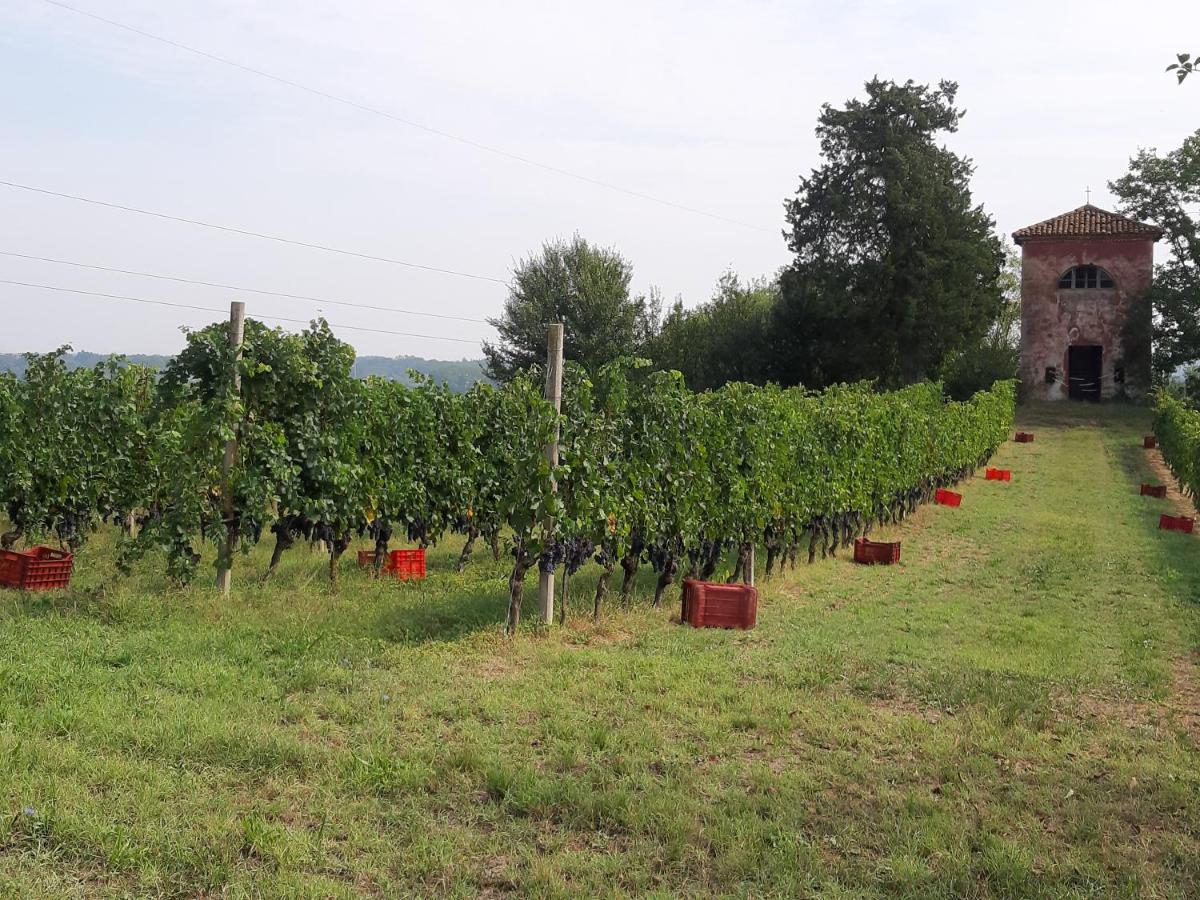 Marchesi Incisa Winery Lodge Rocchetta Tanaro Luaran gambar