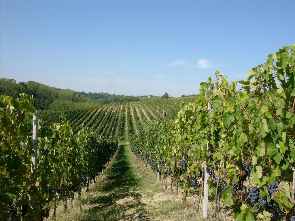 Marchesi Incisa Winery Lodge Rocchetta Tanaro Luaran gambar